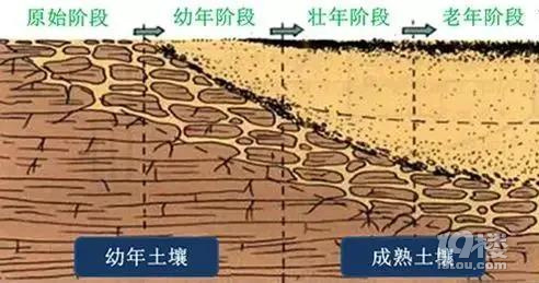 都在說要“吃土”了,可你真的了解土嗎?