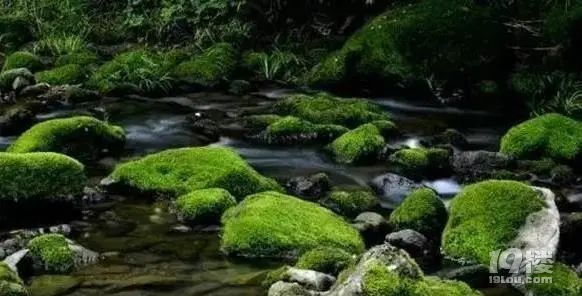 都在說要“吃土”了,可你真的了解土嗎?