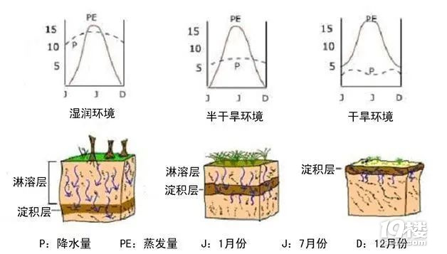 都在說要“吃土”了,可你真的了解土嗎?
