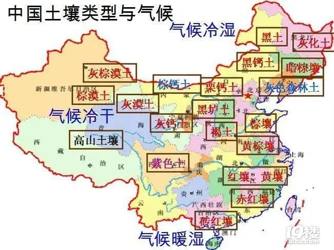 都在說要“吃土”了,可你真的了解土嗎?