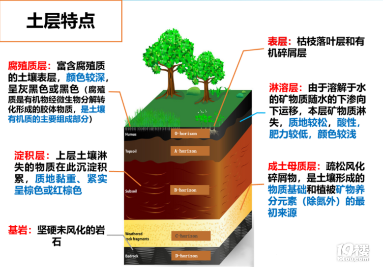 都在說要“吃土”了,可你真的了解土嗎?