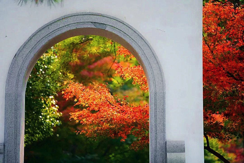 浙江的秋天真的被低估了!接下來半個月,這幾條小眾紅楓古道最美