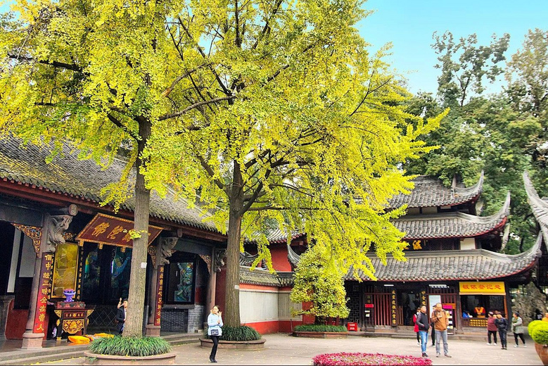 一入秋,成都就成了锦官城