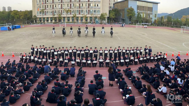 鲜衣怒马 威风凛凛，为表彰学生，杭州这所学校把“马”请进学校