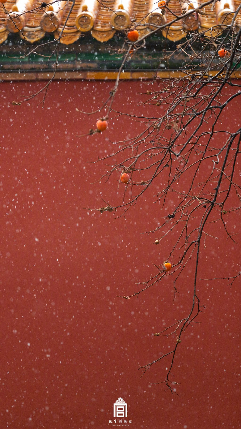 故宫又美上热搜这些地方表示不服只差一场雪它们也能变身仙