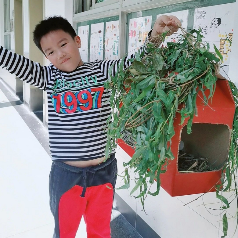 奇思妙想,变废为宝!为小鸟们造个餐厅吧