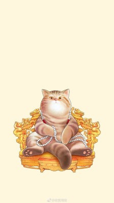 各位铲屎官吸猫怎么能放过故宫御猫呢?虽然它已经不在了!