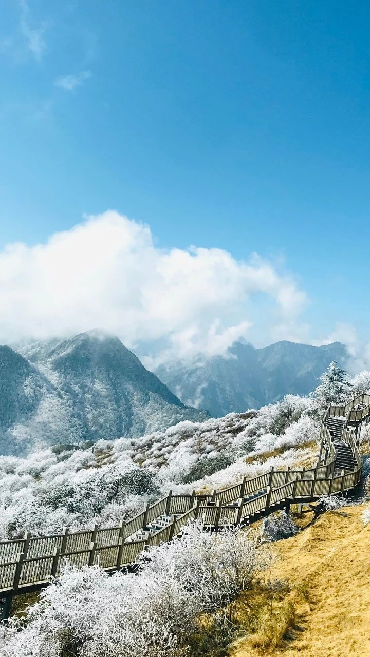 忽然,想去四川了