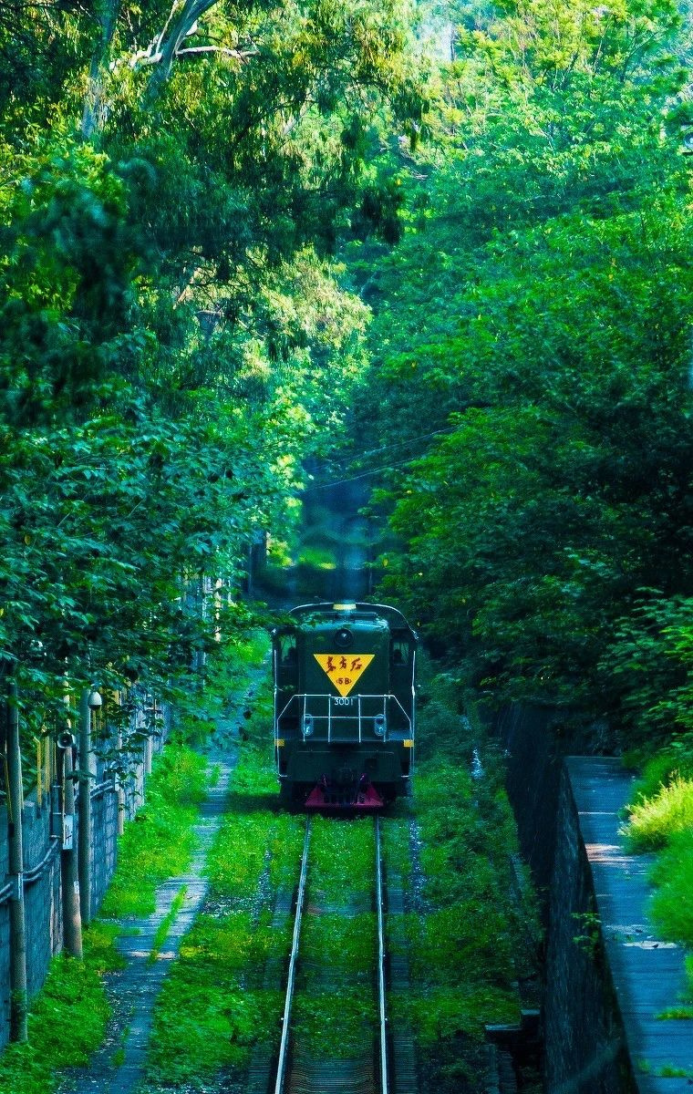 忽然，想去四川了