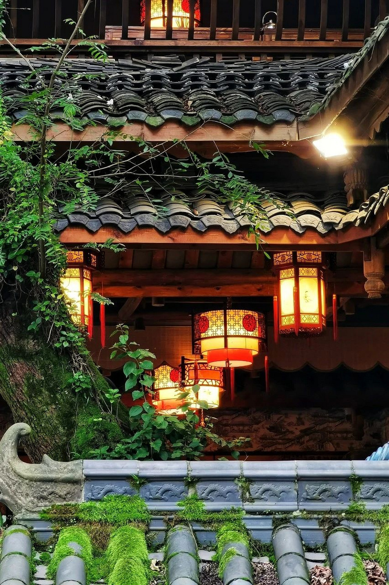 忽然，想去四川了