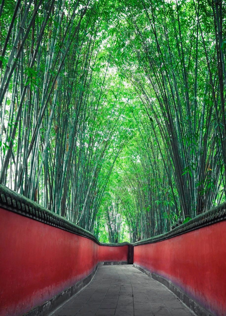 忽然，想去四川了