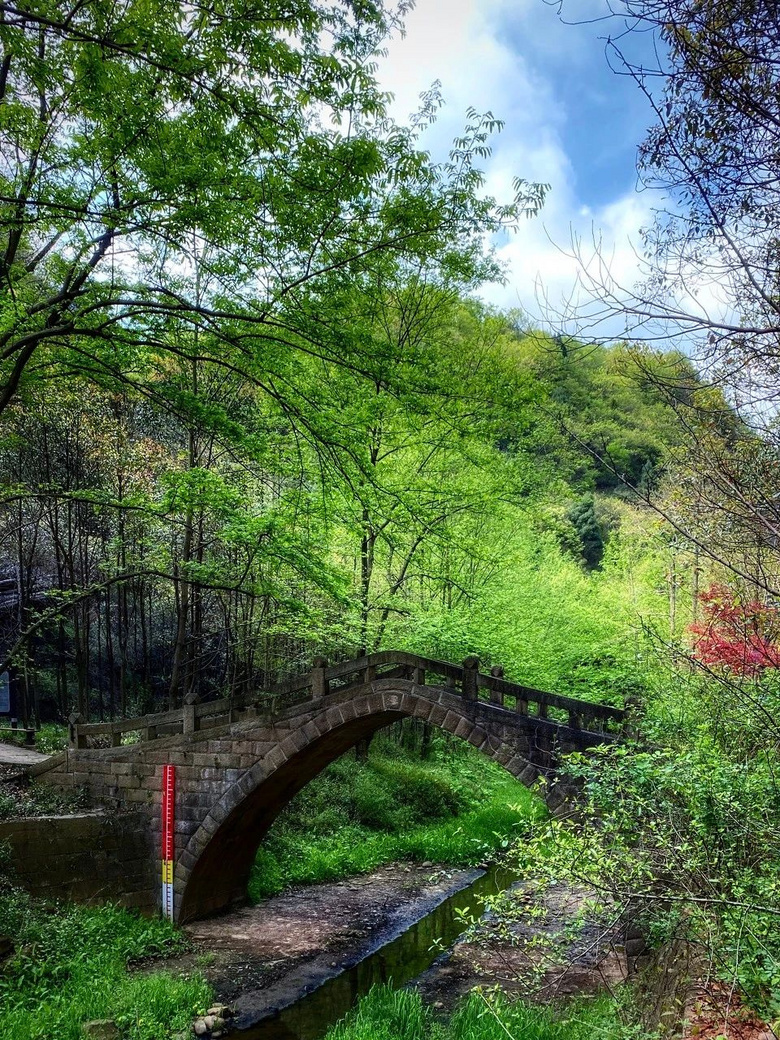 忽然，想去四川了
