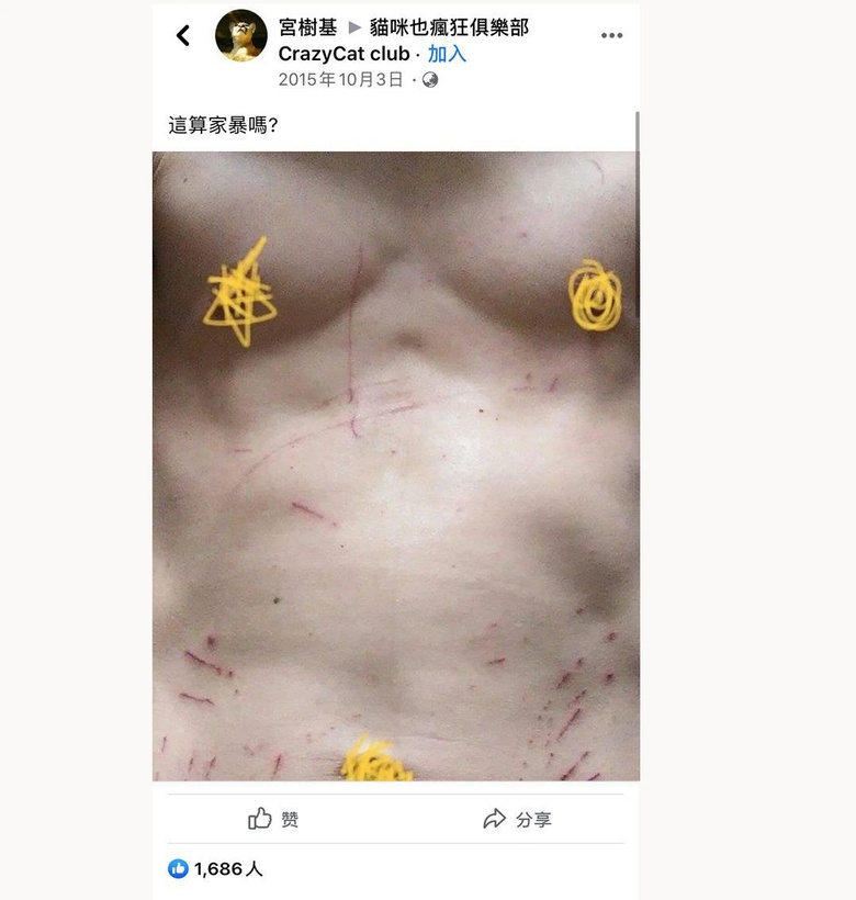 貓的戰(zhàn)斗力有多強(qiáng)?鏟屎官:昨晚剛揍跑一只大象…