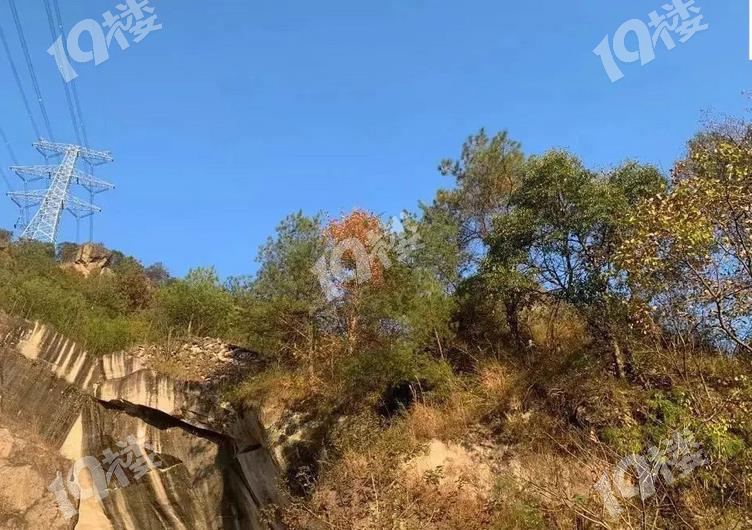 浙江一块岩石上发现十多个奇怪图案,它们是什么?