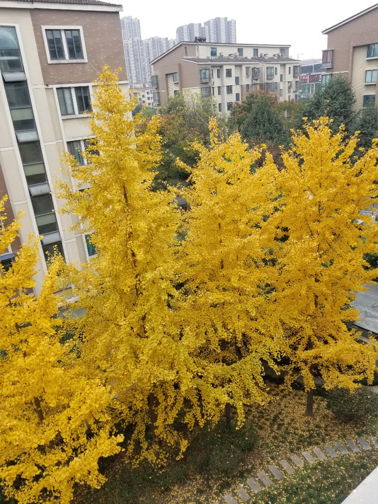 装修日记:一个家是如何“炼”成的