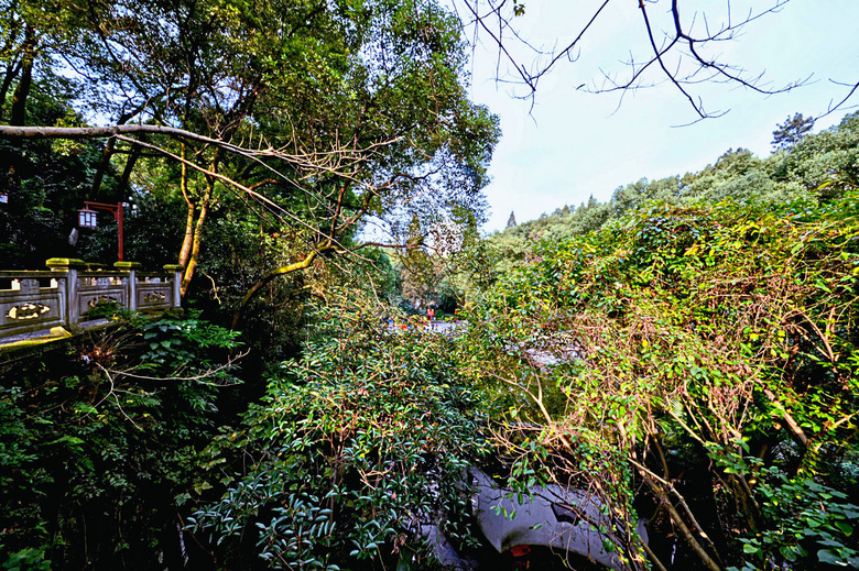 泸州之我色134-忠山公园3