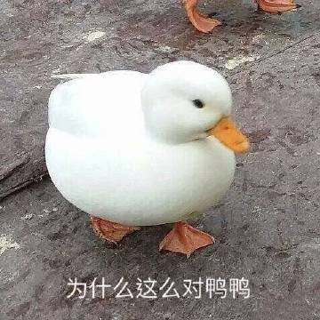 【拉风试驾】当我开着这个车去见朋友的时候,他们都笑我!