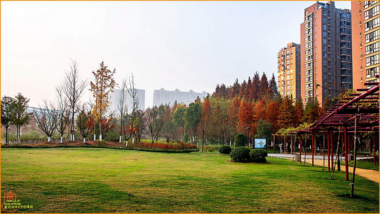 东湖路市民公园随拍续