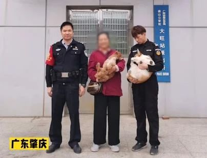 和主人走散后,兩只狗竟獨(dú)自到派出所“報案”
