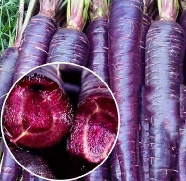 越来越多的菜被培育成了紫色紫色山药紫色大蒜紫色菠菜