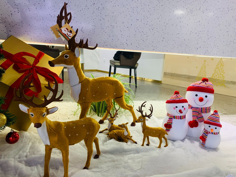 ����¹����ʥ�����ϣ�Լ �������ˮ�����������