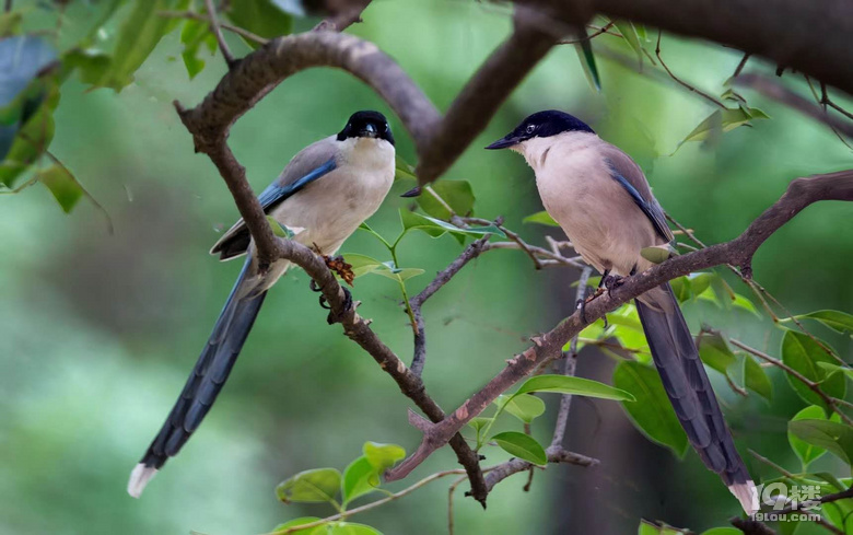 房东本人1000元月低价出租益乐新村北二区16号一楼朝东18方好房
