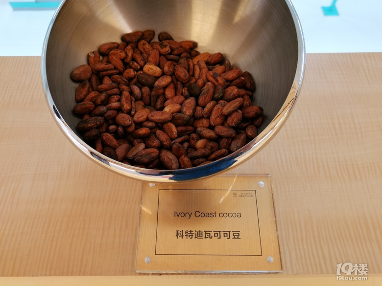 歌斐颂巧克力小镇一日游