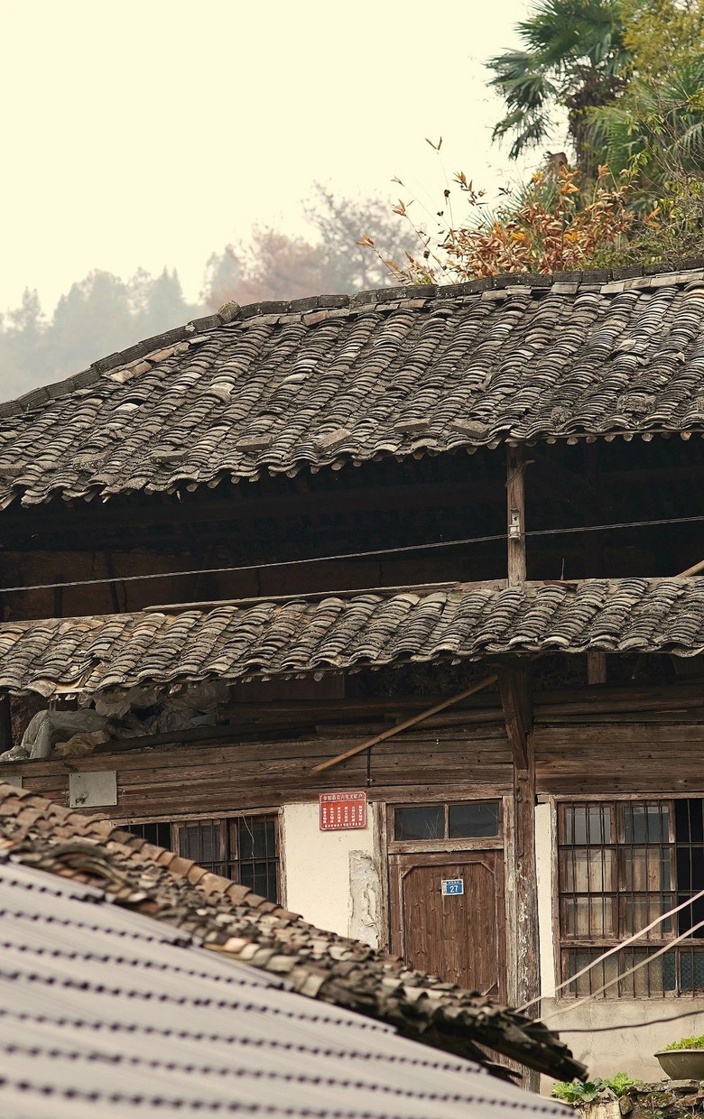被列入中國傳統(tǒng)村落名錄,這是一個“消失”的小山村!