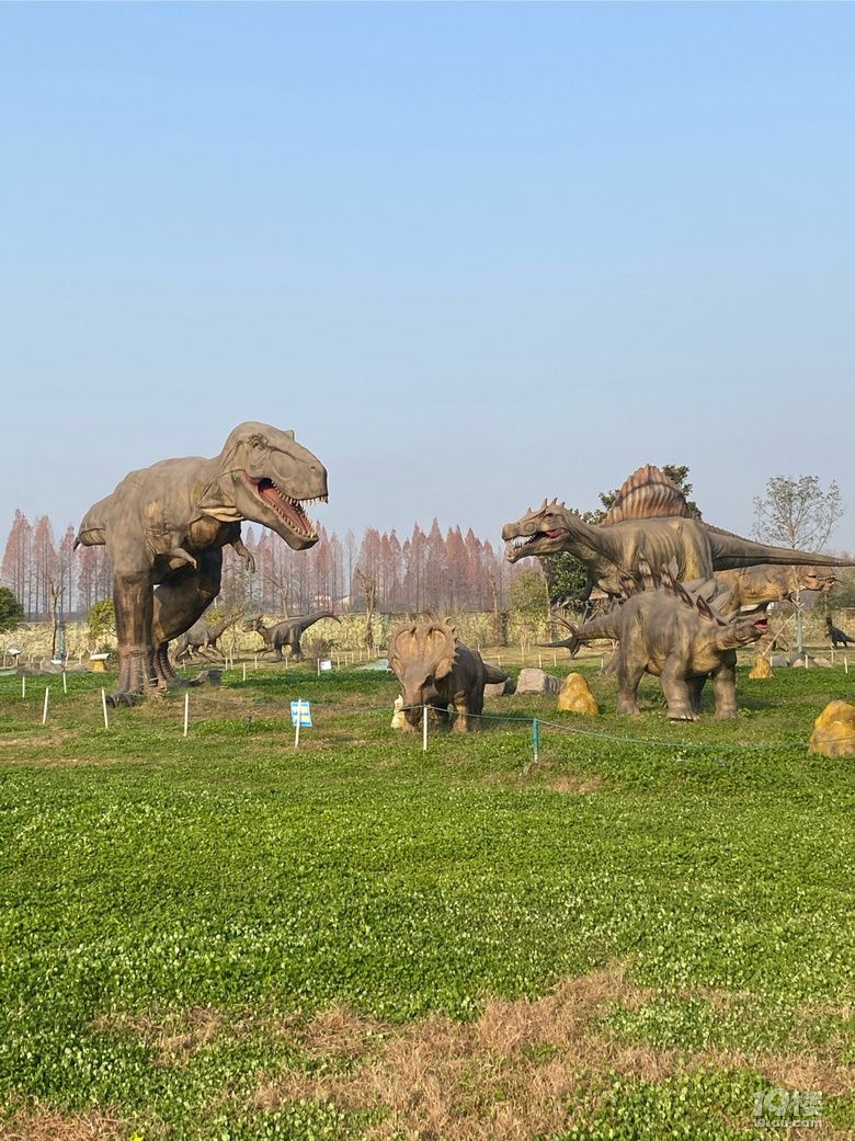 杭州恐龙梦公园欢迎您的到来