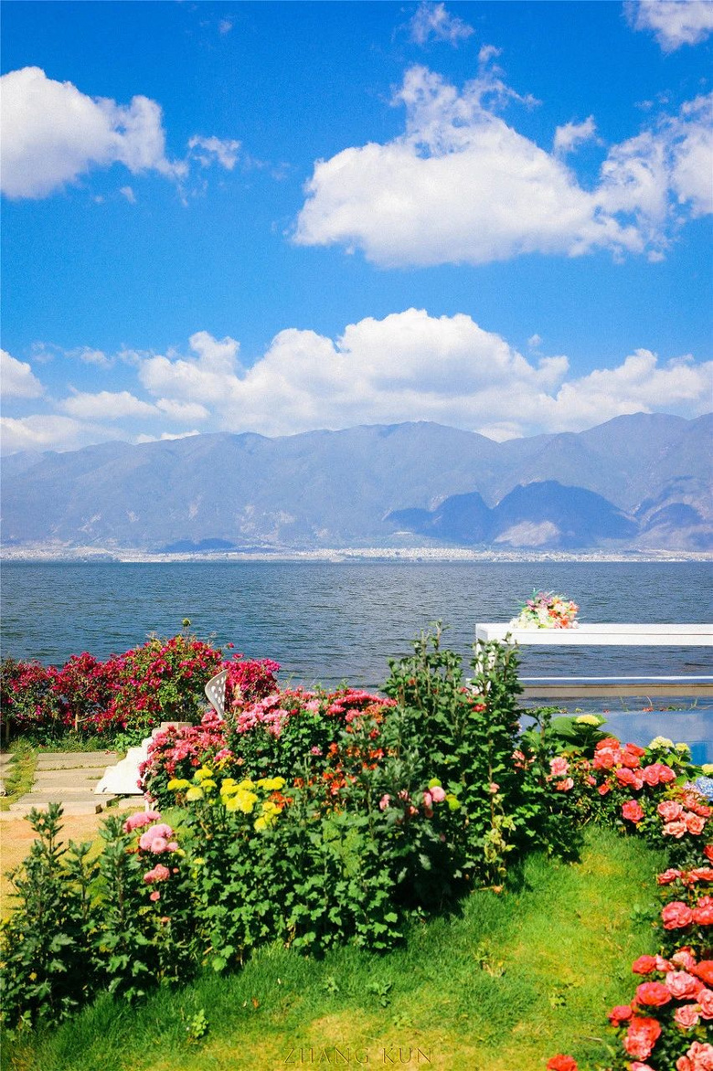 等一个人,陪我去大理