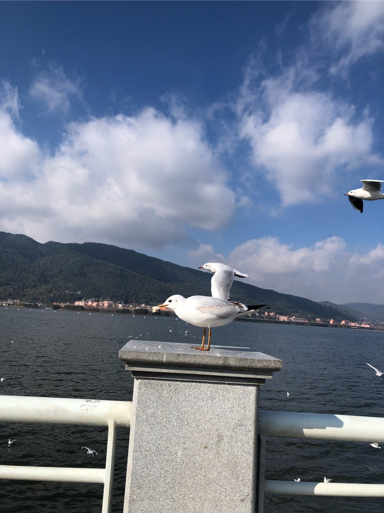 ꣬ιtѻסɺϣD