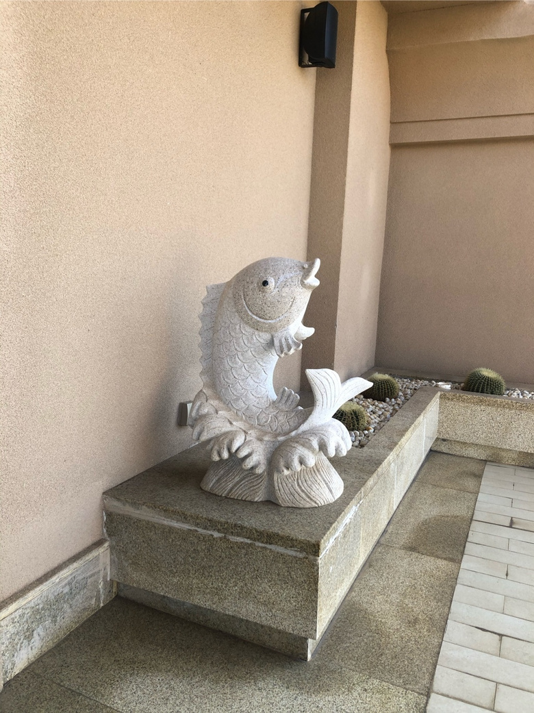 ꣬ιtѻסɺϣD