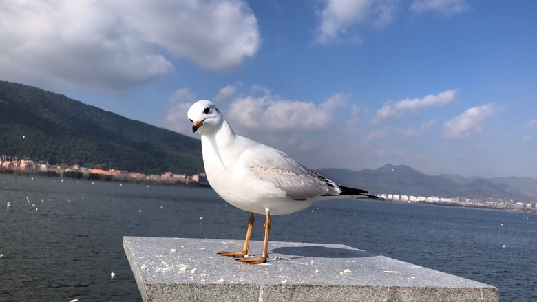 ιtѻסɺϣD