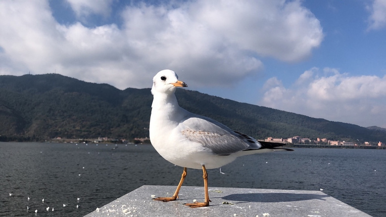 ιtѻסɺϣD