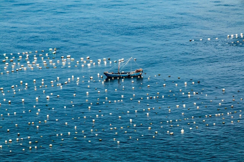 被韓寒選中的東極島,一定要后會(huì)有期