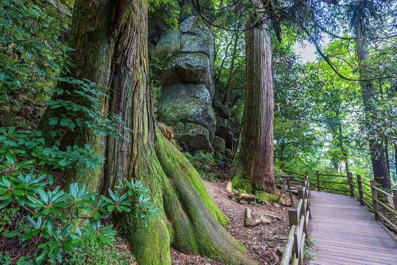 往東是西湖,往西是黃山,這個(gè)神仙“綠肺”小城,杭州地鐵可直達(dá)