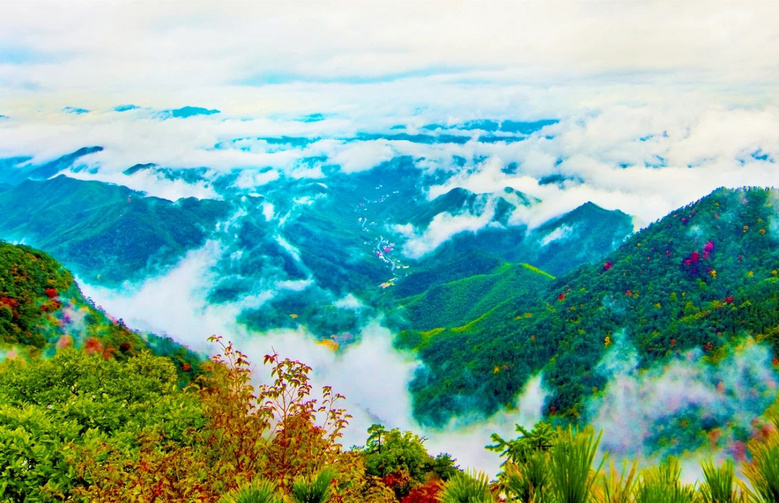 往東是西湖,往西是黃山,這個(gè)神仙“綠肺”小城,杭州地鐵可直達(dá)