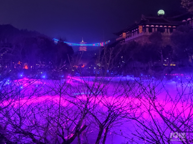 让根博园的根艺与福牛相撞