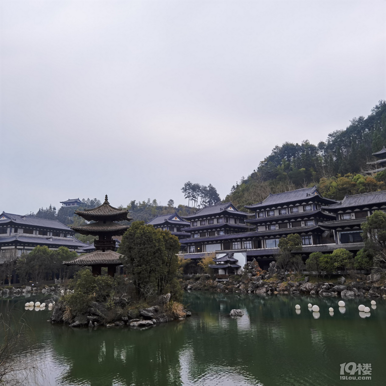 让根博园的根艺与福牛相撞