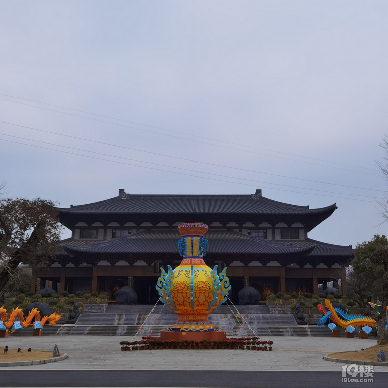 让根博园的根艺与福牛相撞