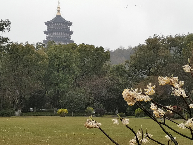 濛濛细雨中拍几张西子宾馆的照片