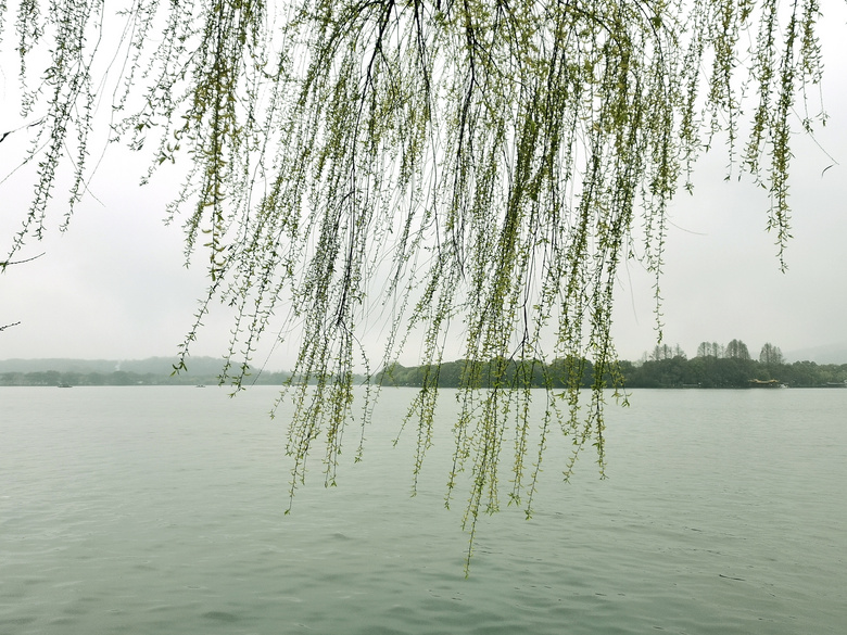 濛濛细雨中拍几张西子宾馆的照片