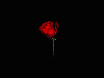 51qŮӼ˱ԼС10ךqϹt(y)@}