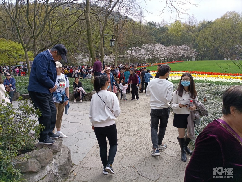今天天气晴好暖和南山路太子湾公园人从众花的世界人的海洋