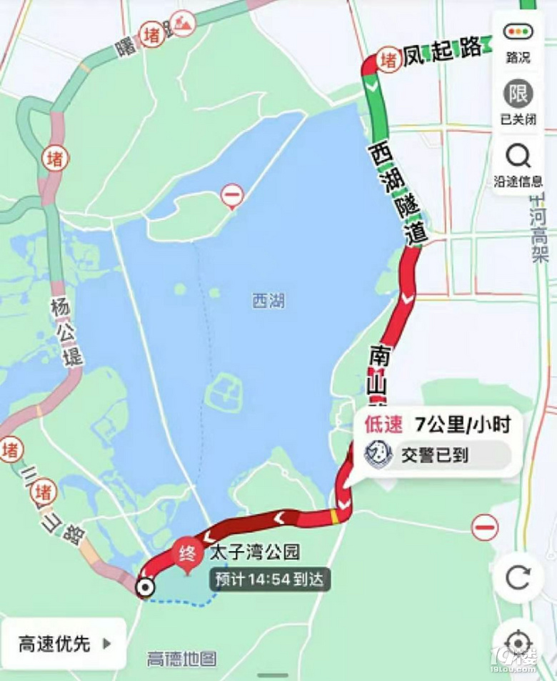 心痛!太子灣郁金香被踩踏,游客還不知悔改,別人能踩我不能踩?