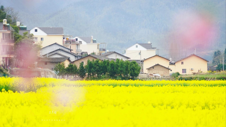 又一高顏值小山村“C位上線”,資深攝影師推薦,周末走起!