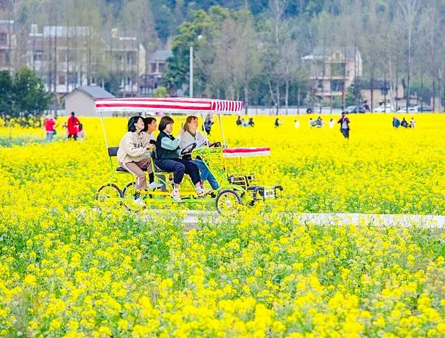 又一高顏值小山村“C位上線”,資深攝影師推薦,周末走起!