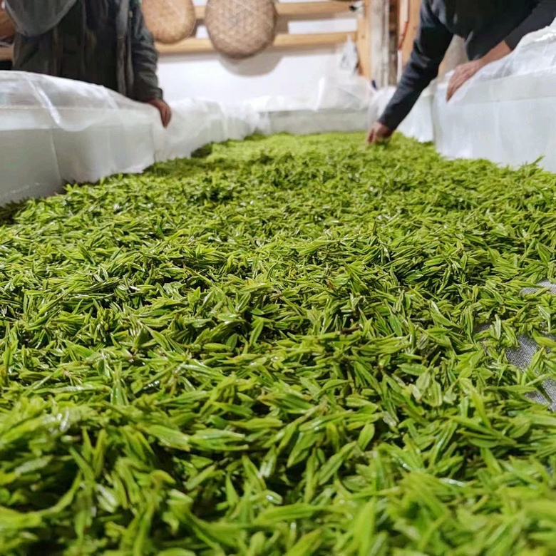 他50歲辭職去富陽開荒種茶,種的龍井竟獲“食品界奧斯卡”