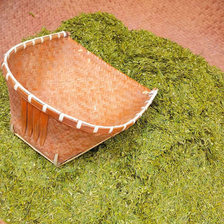 他50歲辭職去富陽開荒種茶,種的龍井竟獲“食品界奧斯卡”