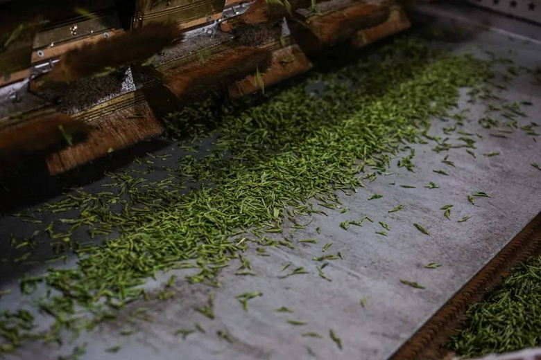 他50歲辭職去富陽開荒種茶,種的龍井竟獲“食品界奧斯卡”
